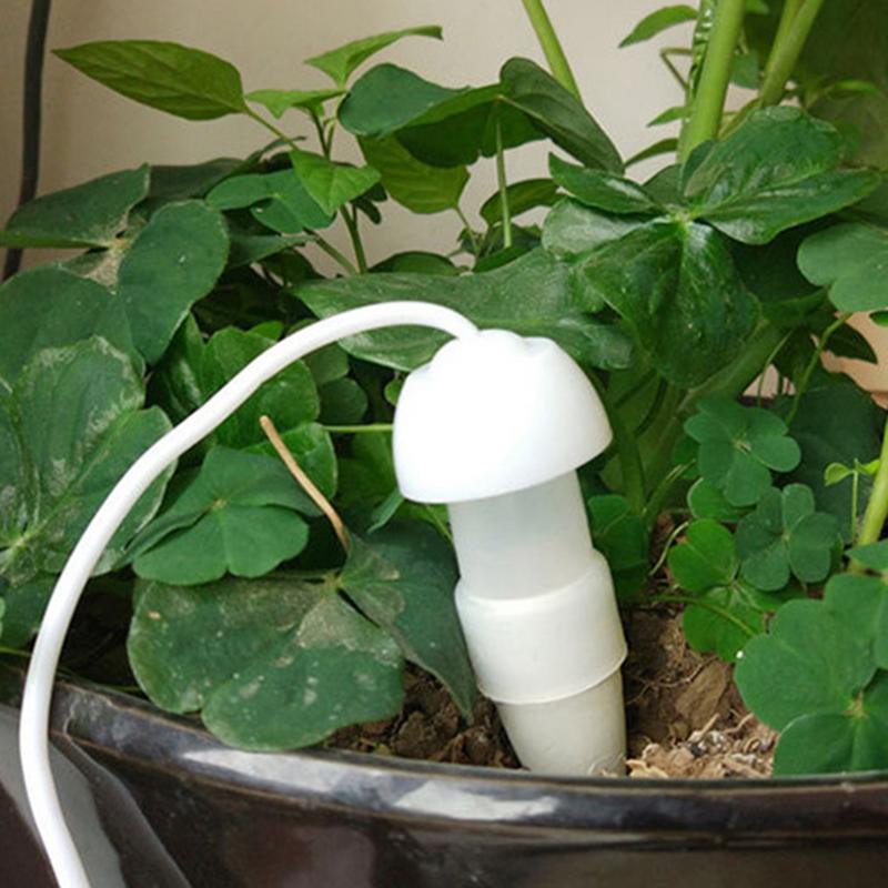 Plant Automatisch Besproeiings - Smart Garden Herb recensie en prijs